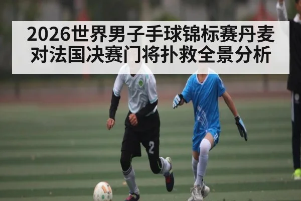 2026世界男子手球锦标赛丹麦对法国决赛门将扑救全景分析